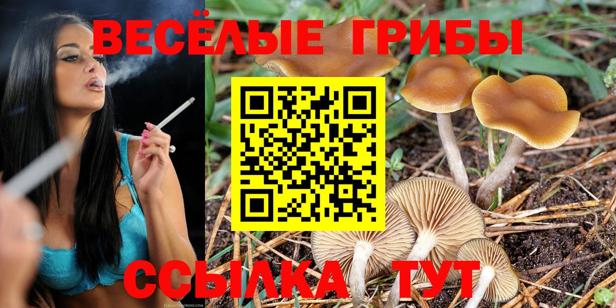 Галлюциногенные грибы Psilocybine cubensis  Вход с VPN  дарнет шоп  Дмитров 